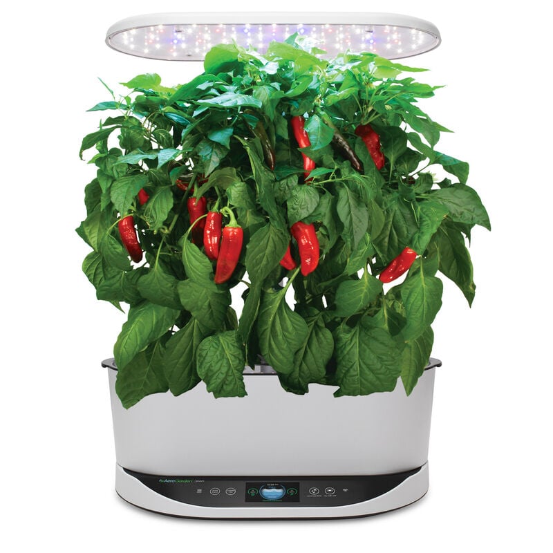 Anaheim Pepper Seed Pod Kit image number null